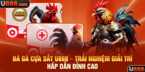 Đá Gà Cựa Sắt U888 – Trải Nghiệm Giải Trí Hấp Dẫn Đỉnh Cao