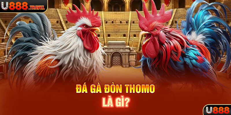 Đá gà Đòn Thomo là gì?